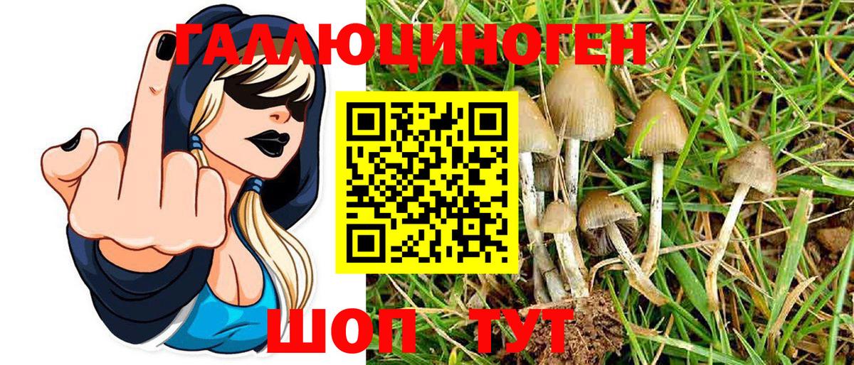 Псилоцибиновые грибы MAGIC MUSHROOMS  Галлюциногенные грибы прущие грибы  Вход с VPN  Борисоглебск 